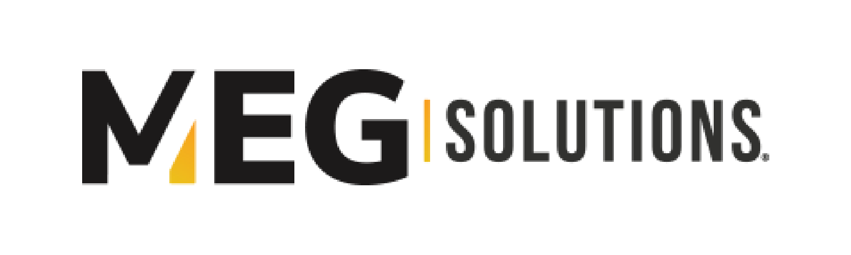 1_megsolutions